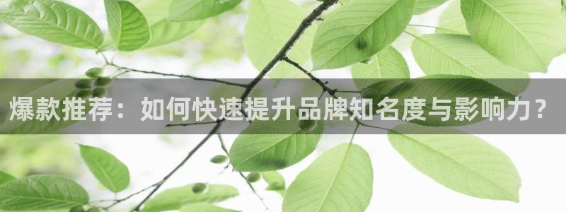 必赢网站mg冰球突破豪华版