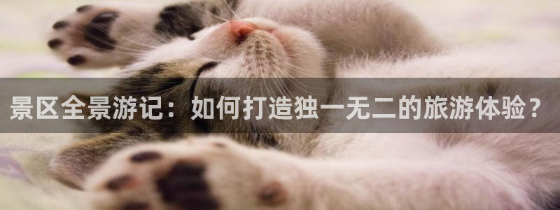 必赢国际的网站多少