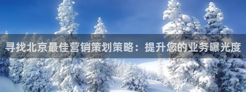 必赢国际437