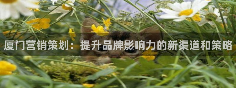 必赢平台电子