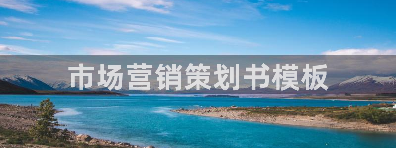 9965必赢棋官方网站怎么样