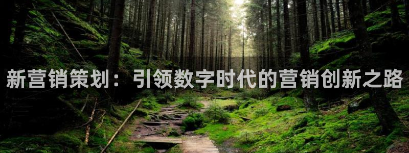 必赢网址
