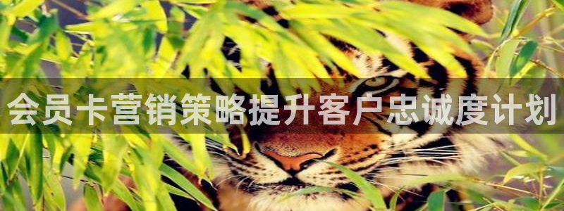 必赢下载二维码