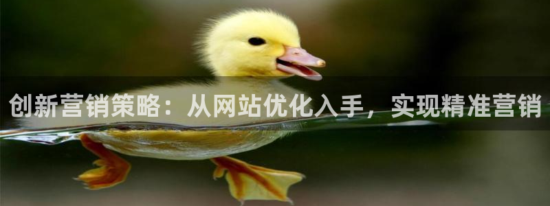 必赢链接