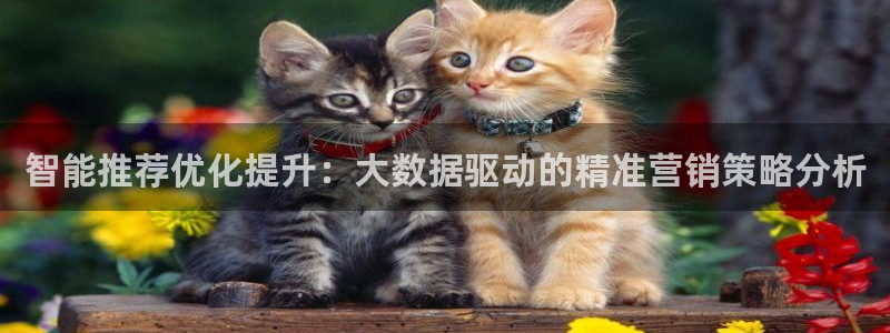 必赢棋脾9655app下载