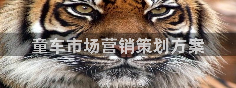 必赢手机app下载最新版安卓苹果