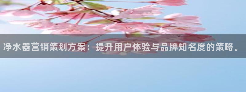 必赢网址谁知道