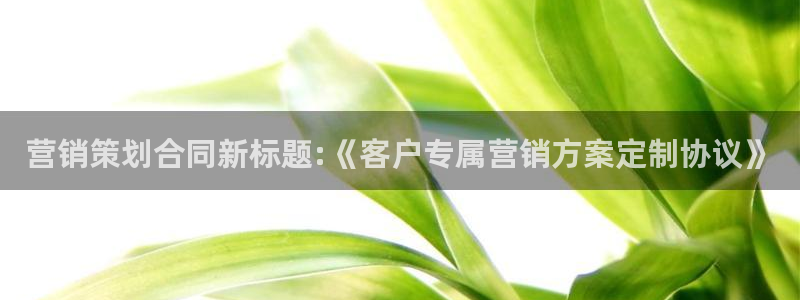 必赢下载