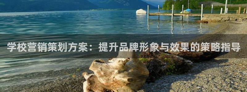 必赢官网app下载苹果