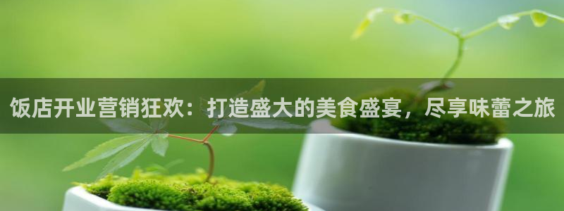 必赢宝是不是合法平台