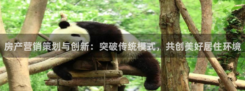 必赢平台怎么样知乎