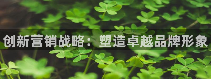 必赢客安卓版