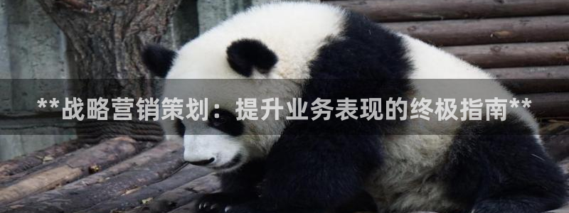 必赢7321取不出钱
