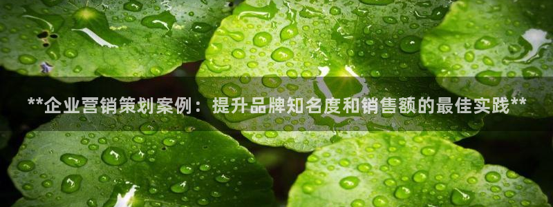 必赢国际是什么