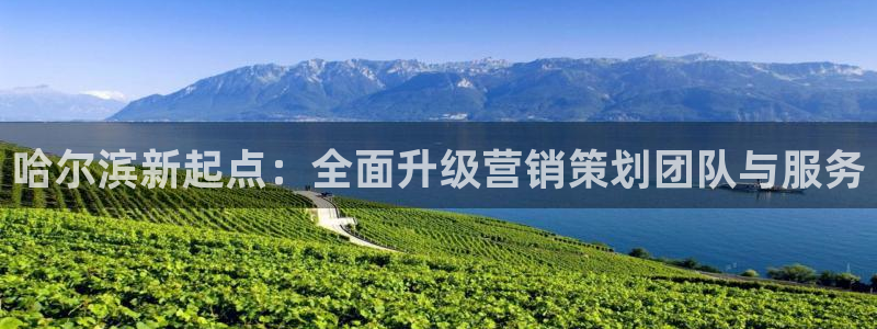 必赢国际437官网版