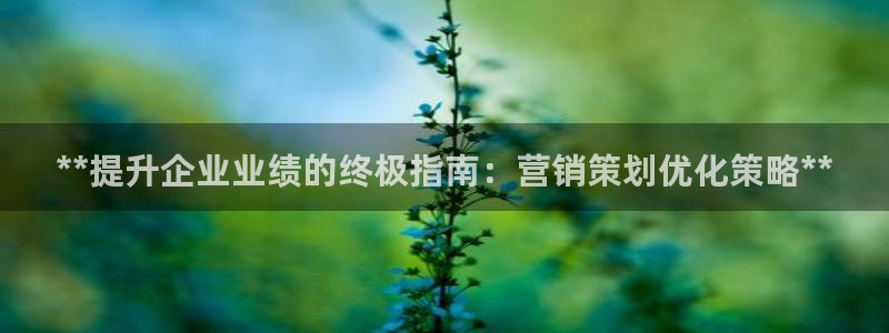 必赢72882网址