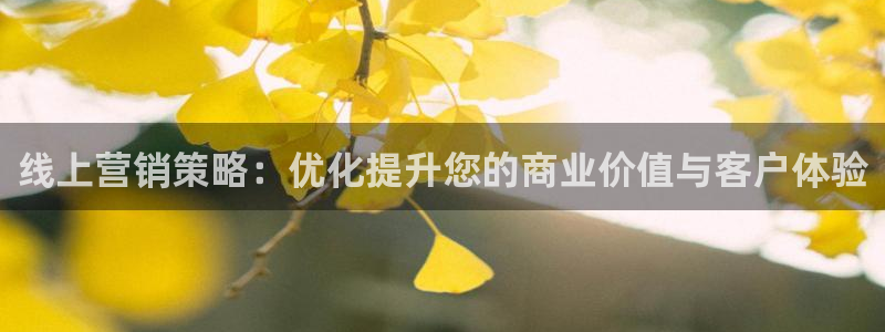 必赢国际app最新官网