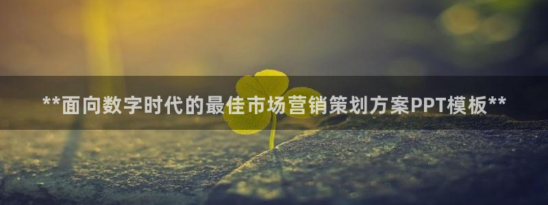 必赢手机版官网