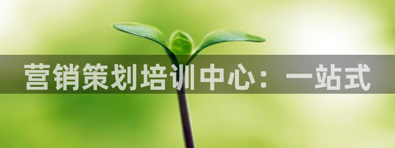 必赢网怎么打不开了
