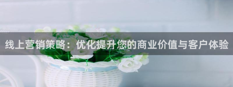 9965必赢游戏特色