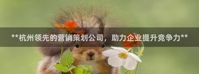 必赢国际游戏技巧