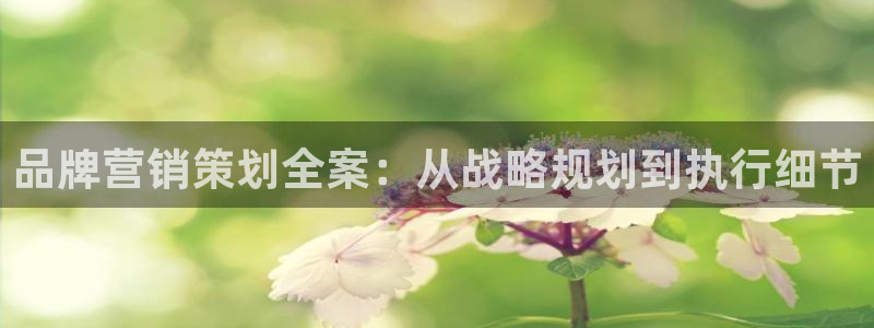 必赢亚赢网站官网下载安卓版
