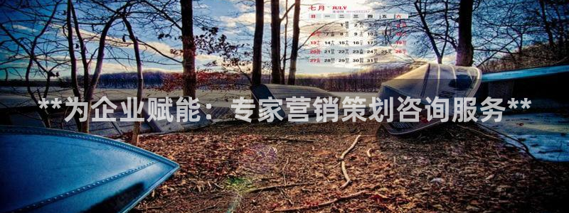 必赢766