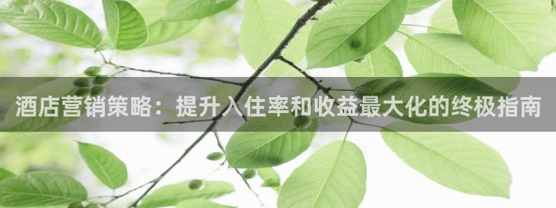 必赢net.95