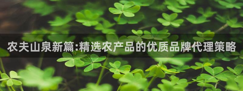 必赢集团网站官网