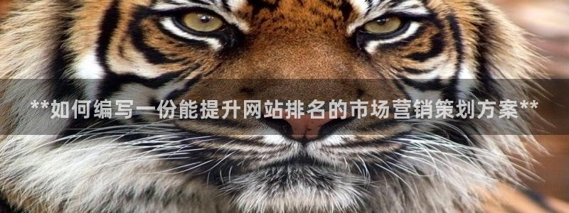 必赢首页