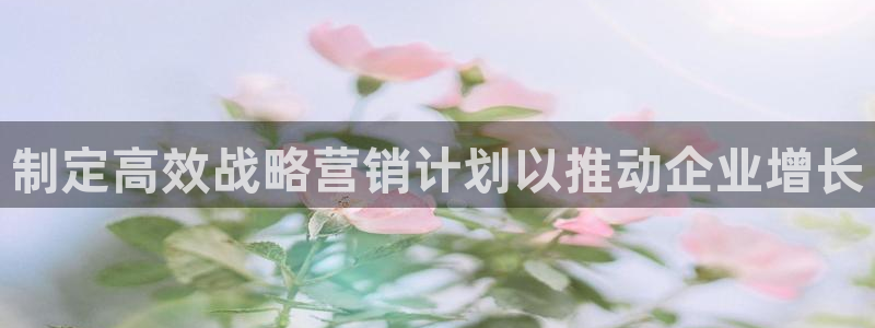 必赢国际网站合法吗