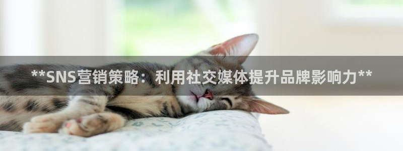必赢3003am