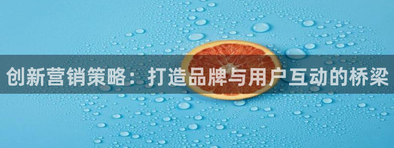 必赢国际437官网版