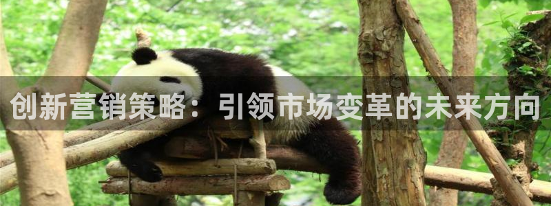 必赢国际app下链接