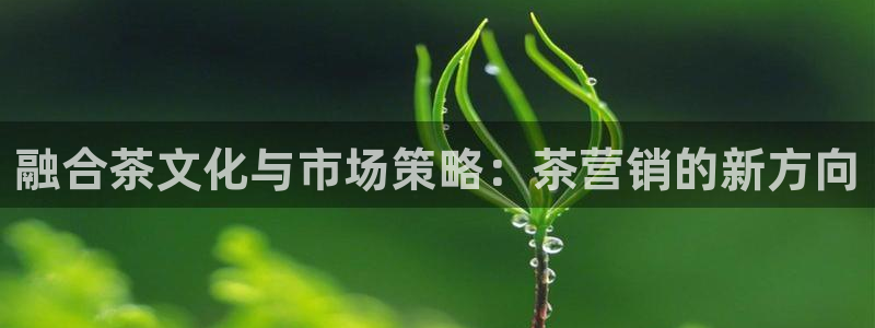 必赢.apk