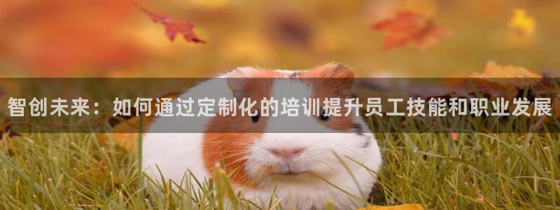 必赢国际怎么样