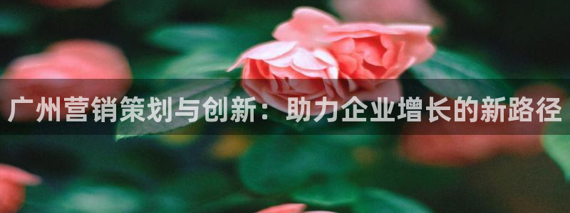 必赢下载软件