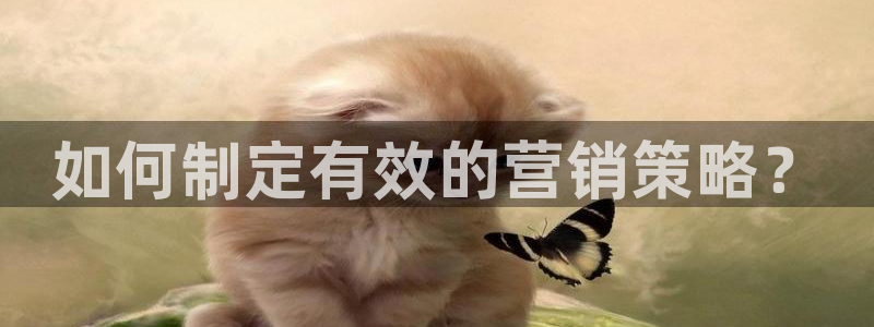 必赢手机app下载 最新版