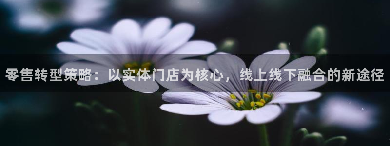 必赢国际437官网版
