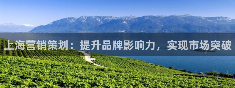 必赢app官方
