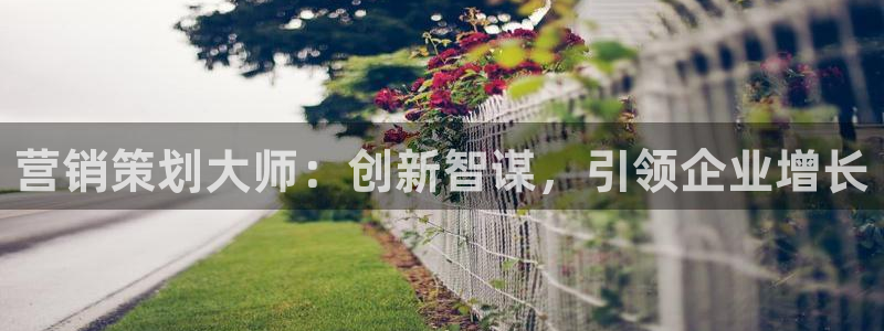 必赢手机app下载官网