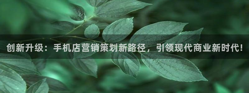 必赢565net官网