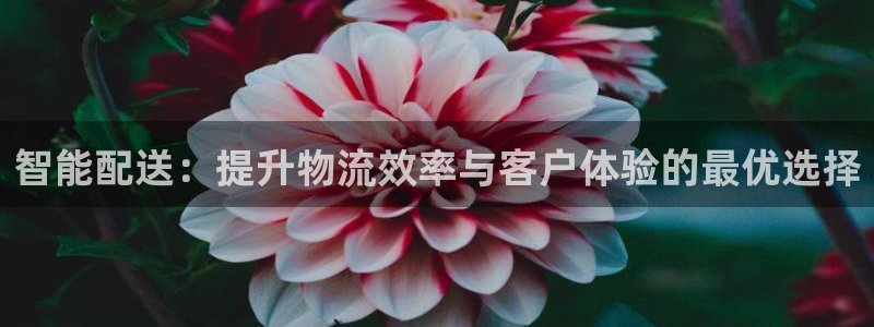 必赢宝是不是合法平台