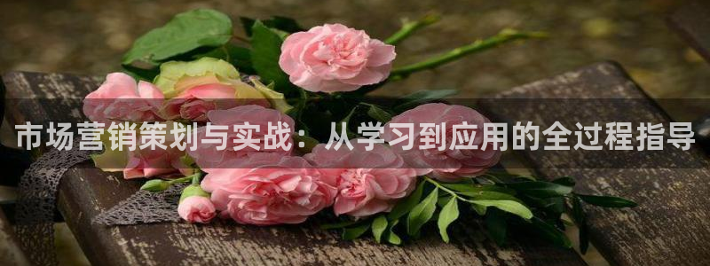 必赢亚赢网站官网下载安装