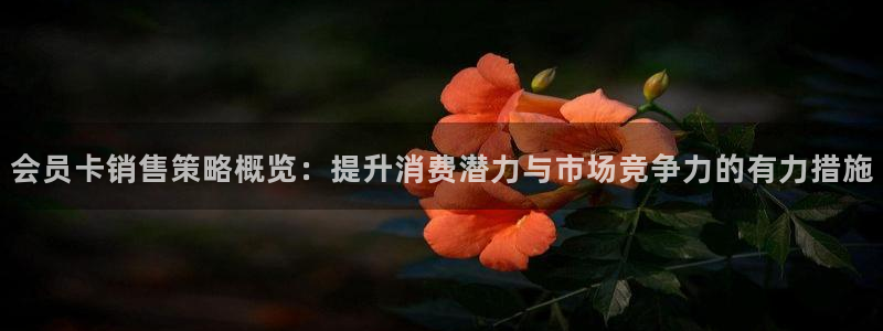 必赢国际a600典ccapp