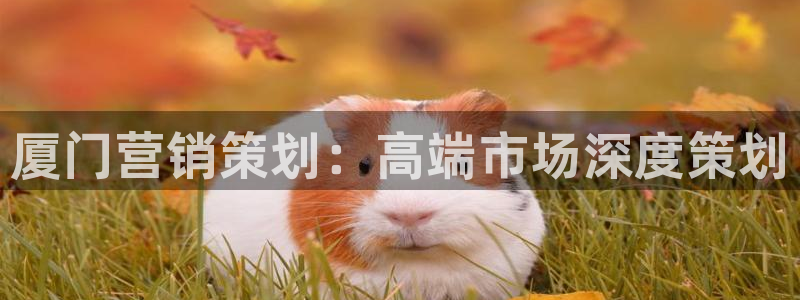 必赢官网8873欢迎您