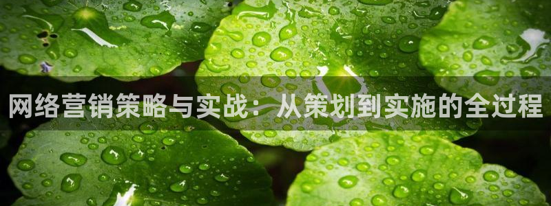 必赢手机app下载最新版安卓苹