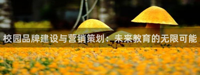 必赢这个软件怎么样啊