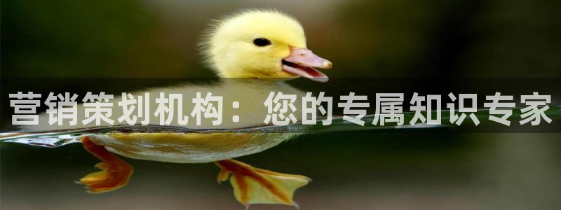 必赢手机app下载官网最新版