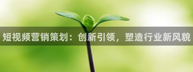 必赢下载官方